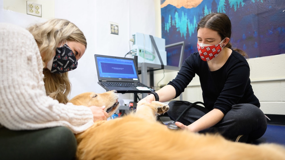 Two female researchers are sitting with a Golden Retriever in the lab.