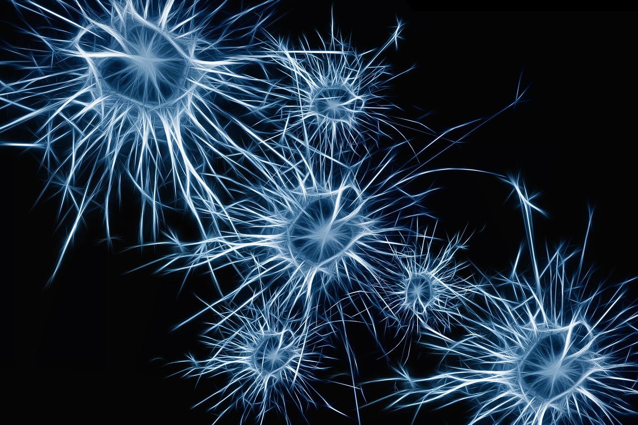 Black and blue photo of neurons.